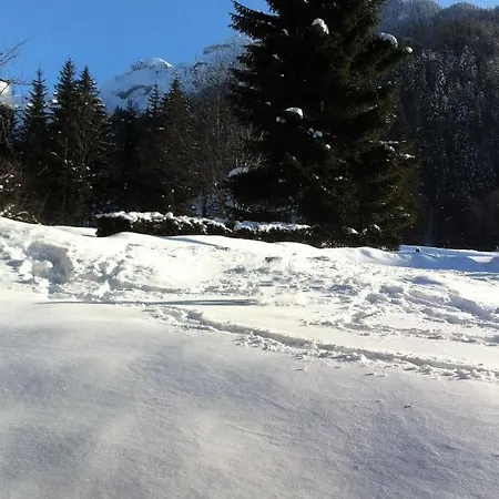 Oey-hus Lenk