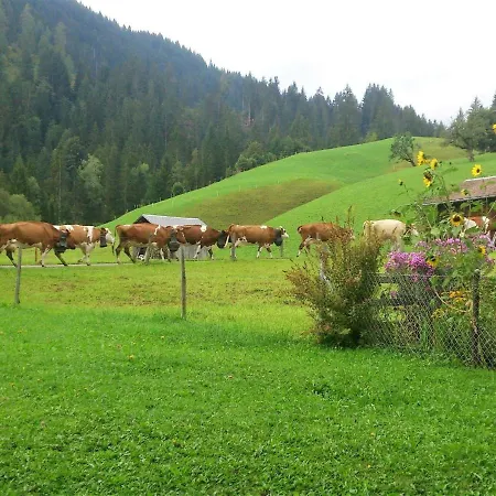 Oey-hus * Lenk